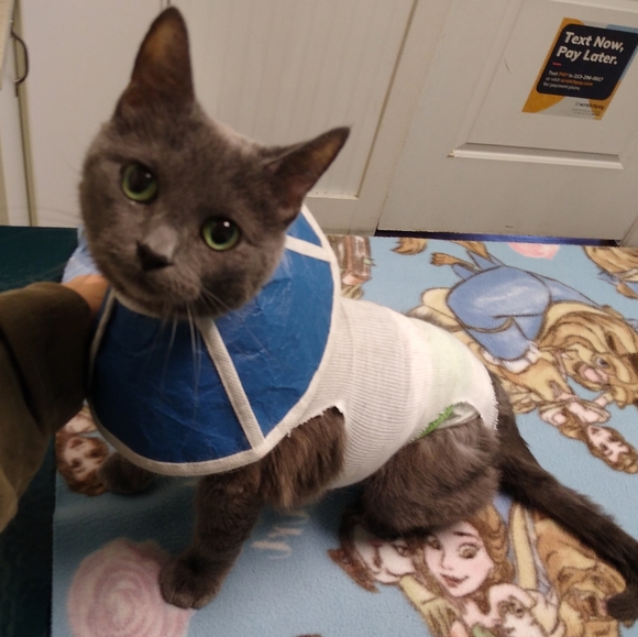 I keep my human awake all night. How you doin'? - Picture 3 of 6